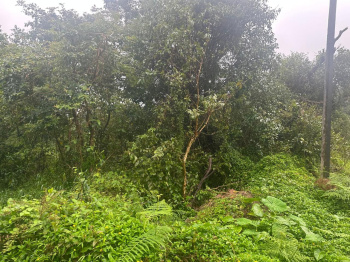  Agricultural Land for Sale in Mudigere, Chikmagalur