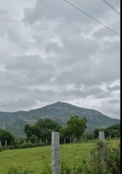  Residential Plot for Sale in Doddaballapur, Bangalore