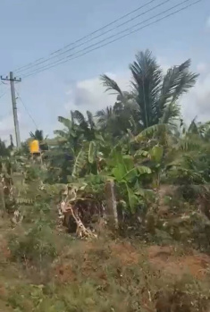  Agricultural Land for Sale in Hanuma Reddy Layout, Bangalore