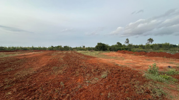  Commercial Land for Sale in Kammasandra, Bangalore