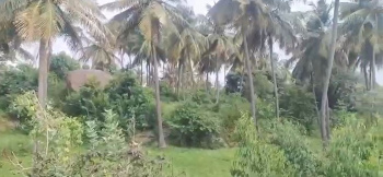  Agricultural Land for Sale in Kanakapura, Bangalore