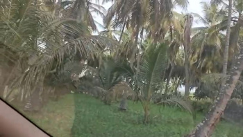  Agricultural Land for Sale in Kanakapura, Bangalore