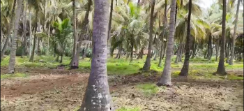  Agricultural Land for Sale in Kanakapura, Bangalore