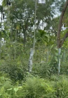  Agricultural Land for Sale in Dodda, Banaswadi, Bangalore