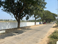  Agricultural Land for Sale in Tarikere, Chikmagalur