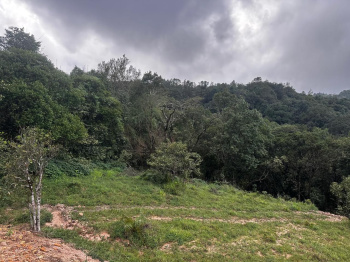 Agricultural Land for Sale in Mudigere, Chikmagalur