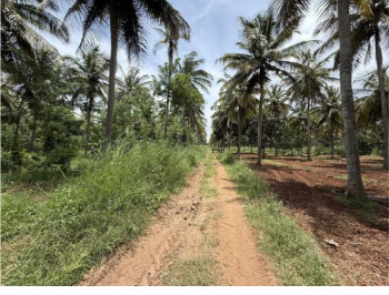  Agricultural Land for Sale in Hunsur, Mysore