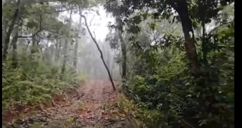  Agricultural Land for Sale in Sakleshpur, Chikmagalur