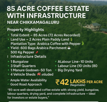  Agricultural Land for Sale in Jayanagar, Chikmagalur