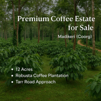  Agricultural Land for Sale in Madikeri, Kodagu