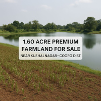  Agricultural Land for Sale in Kushalnagar, Kodagu