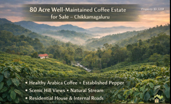 Agricultural Land for Sale in Kalyananagara, Chikmagalur, 