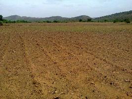  Agricultural Land for Sale in Kathuwa highway, Kathua, Kathua