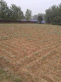  Commercial Land for Sale in Patnitop, Udhampur