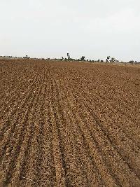  Agricultural Land for Rent in Phalodi, Jodhpur