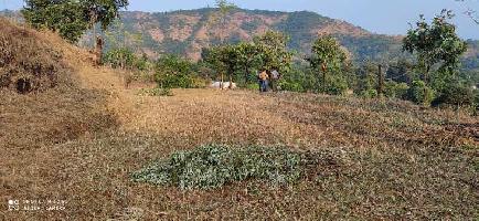  Agricultural Land for Sale in Mahabaleshwar, Satara