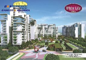  Flat for Sale in Sector 8 Sonipat