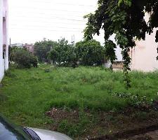  Commercial Land for Sale in Sun City, Sector 54 Gurgaon