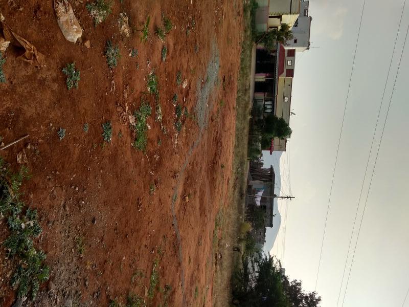  Residential Plot 2800 Sq.ft. for Sale in Sundakkamuthur, Coimbatore