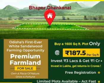 Residential Plot for Sale in Athagad, Cuttack