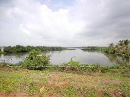  Agricultural Land for Sale in Mulavukad, Kochi