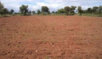  Agricultural Land for Sale in Panagar, Jabalpur