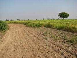 Agricultural Land for Sale in Vijay Nagar, Jabalpur