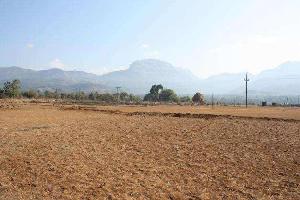  Commercial Land for Sale in Harsh Nagar, Katni