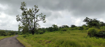  Agricultural Land for Sale in Mhasla, Raigad