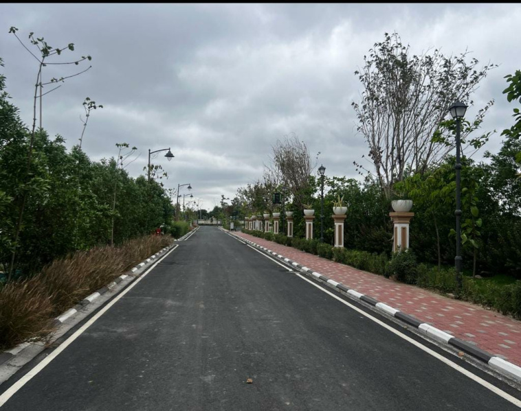  Residential Plot 179 Sq. Yards for Sale in Sector 34, Sonipat