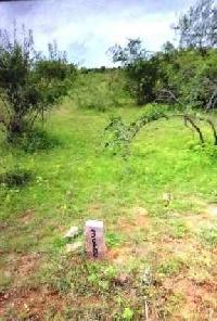  Residential Plot for Sale in Chakrapuri Colony, Aminpur, Hyderabad
