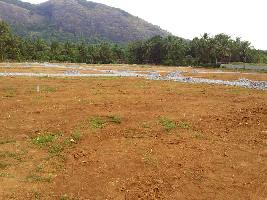  Residential Plot for Sale in Dhoni, Palakkad