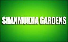  Residential Plot for Sale in Gannavaram, Vijayawada