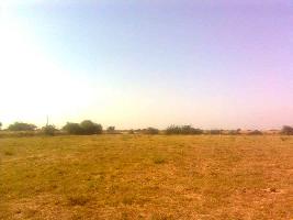  Agricultural Land for Sale in Una, Junagadh