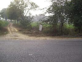  Agricultural Land for Sale in GT Road, Aligarh