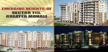 2 BHK Flat for Sale in Sector 115 Mohali