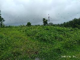  Agricultural Land for Sale in Wada, Palghar