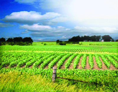  Agricultural Land 440015 Sq.ft. for Sale in Butibori, Nagpur