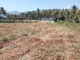  Commercial Land for Sale in Cumbum, Theni