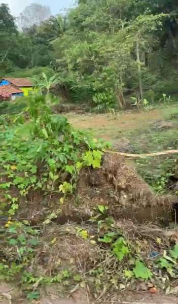  Residential Plot 2000 Sq. Meter for Sale in Moira, North Goa