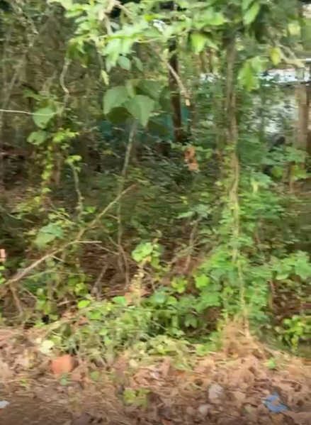  Residential Plot 2800 Sq. Meter for Sale in Nachinola, North Goa