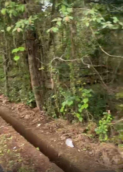  Residential Plot 2800 Sq. Meter for Sale in Nachinola, North Goa