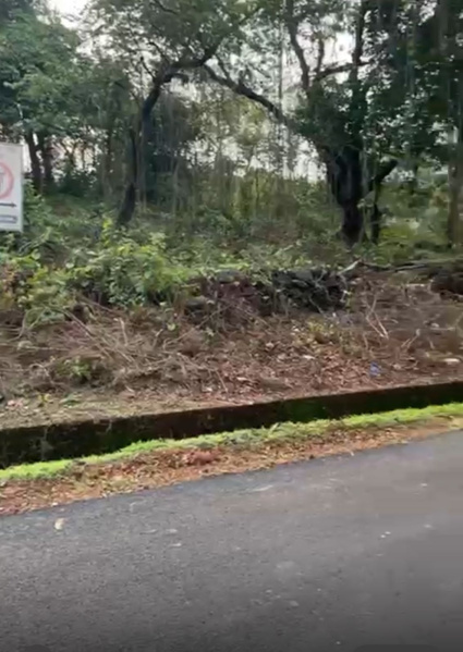  Residential Plot 2800 Sq. Meter for Sale in Nachinola, North Goa