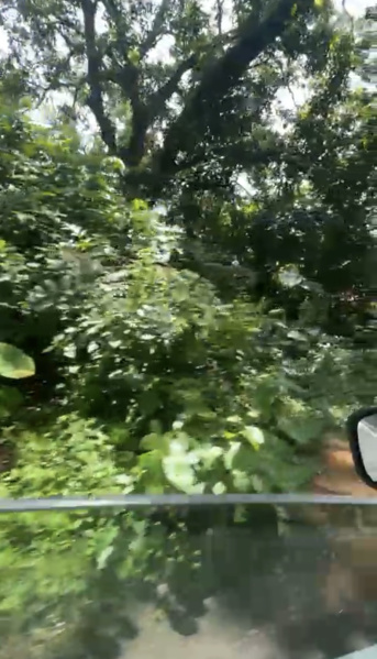  Residential Plot 1000 Sq. Meter for Sale in Siolim, Bardez, Goa
