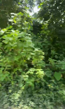  Residential Plot for Sale in Assagaon, North Goa, 