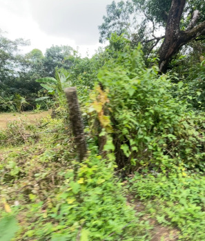  Residential Plot for Sale in Siolim, Bardez, Goa