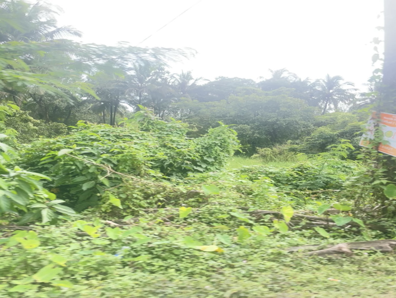 750 Sq. Meter Residential Plot for Sale in Sircaim, Bardez, Goa