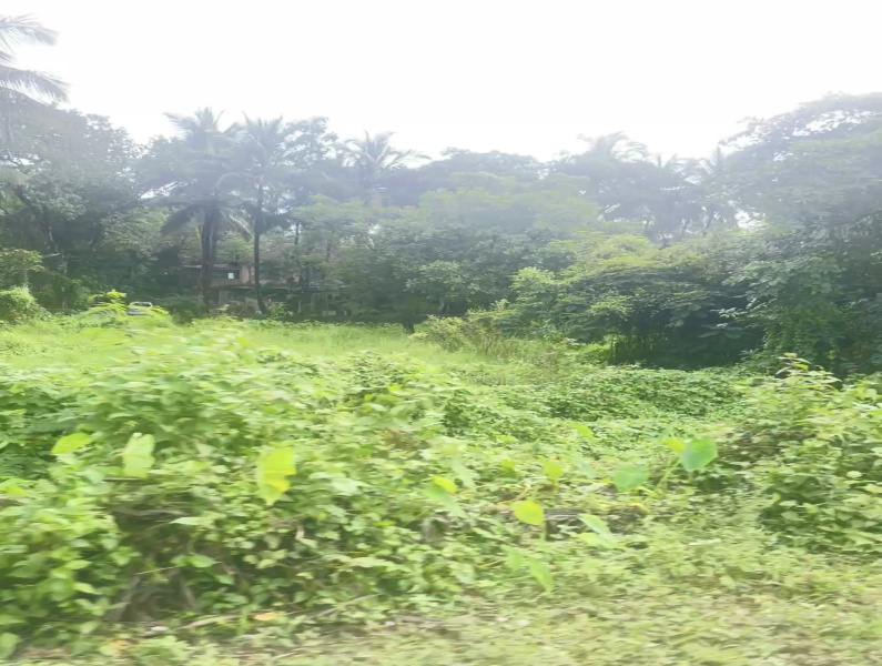 750 Sq. Meter Residential Plot for Sale in Sircaim, Bardez, Goa