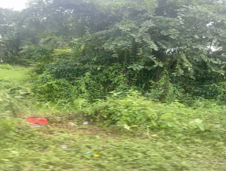 750 Sq. Meter Residential Plot for Sale in Sircaim, Bardez, Goa