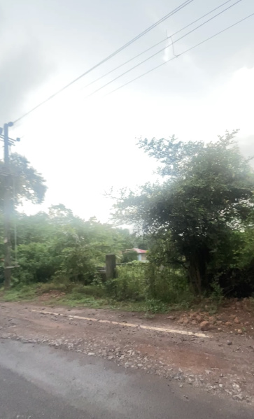  2350 Sq. Meter Residential Plot for Sale in Assagaon, North Goa, 